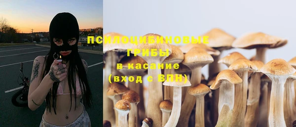 PSILOCYBIN Беломорск