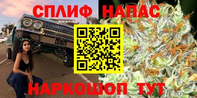 шишки Донской