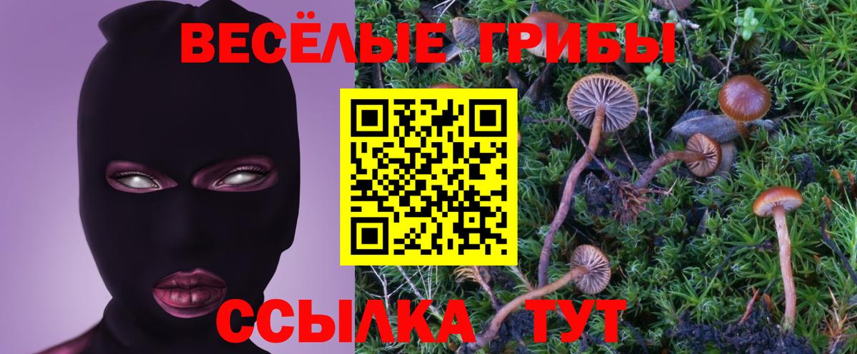 Галлюциногенные грибы мицелий Кушва